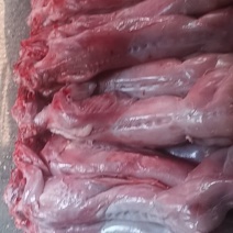 新鲜兔子免费剔骨