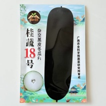 桂蔬18号黑皮大冬瓜种子杂交黑皮肉厚腔小果型顺直高产大果