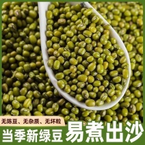 绿豆新鲜可发芽农家新货颗粒绿豆煮粥优原料原产