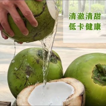 海南文昌椰子