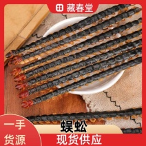 蜈蚣蜈蚣皮国产蜈蚣现货供应量大从优