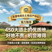 老挝万象赛色塔450大道旁土地