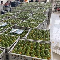青皮无花果