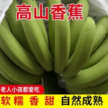 广西香蕉