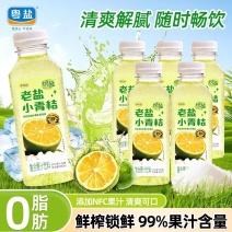 粤盐海盐小青桔汁果汁300ml饮料饮品老盐夏日补充维生素