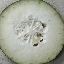 4毛5一斤白皮东瓜**好，打封面电话