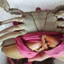 都是精品货