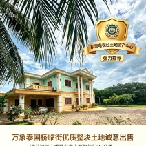 万象泰国桥优质整块土地诚意出售