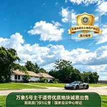 老挝万象14000平稀缺土地资源出售
