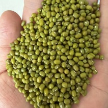 进口原包印度绿豆（3.25-3.5-3.75颗粒）