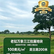 老挝万象三江附近4万平土地出售。