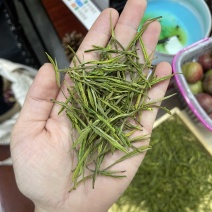 白茶