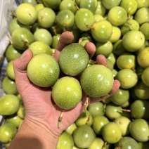 百香果接一件代发