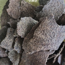 榆林产地直发高蛋白火麻籽饼、黄芥饼、黄豆饼