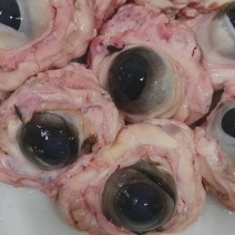 生牛眼，25公斤一件。源头好货源，工厂直发。