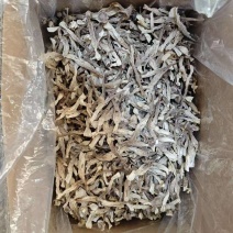 鹿茸菇干品