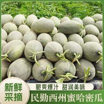 民勤西州蜜