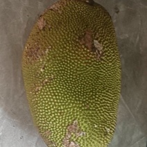 菠萝蜜