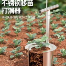 不锈钢移苗神器栽苗器种菜专用工具起苗秧苗移栽打洞器玉米柑橘农