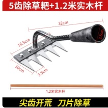 锰钢耙子多功能除草工具农用锄头五齿铁钉耙锄草神器犁地种菜农具