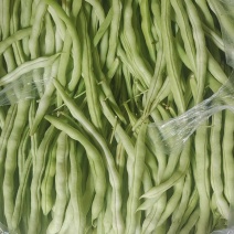 白豆王豆角