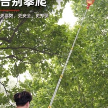 新款摘杨梅神器伸缩杆高空摘杨梅摘杏神器高空采摘水果摘枇杷桃子