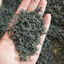 松阳香茶（高山云雾炒青绿茶厂家直销价钱便宜。低价位茶叶。