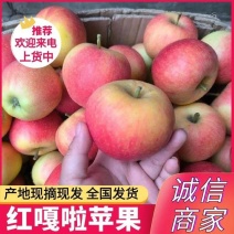 《红嘎啦苹果》陕西苹果/礼泉苹果/大量供应/产地代发全国