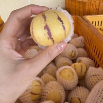 精品人参果，只做树上自然熟