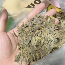 龙井