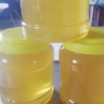 东北椴树蜜