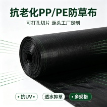 塑料编织防草布果园抑草布大棚除草布PP编织地布