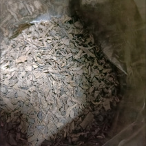 炒茶