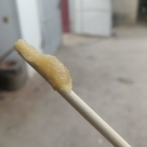 土蜂蜜
