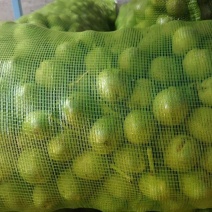 山西青皮核桃，大量上市品质有保障价格美丽欢迎来电