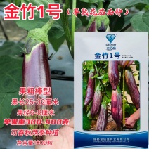 金竹1号早熟花茄品种果实粗棒型商品性好采收期长颜色亮度好