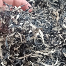 精品木耳丝加工厂电商木耳丝无根木耳丝优质木耳丝产地一手货