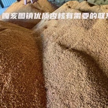 通辽扎鲁特旗山杏核