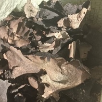野生石耳，2.5筛过好，大小厚薄匀，大个十几公分，原货带