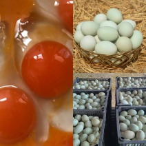 鲜鸭蛋绿壳鸭蛋红心鸭蛋散养鸭子蛋笨鸭蛋货源充足