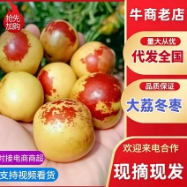 陕西大荔冬枣日产量10万斤对接超市批发市场，电商平台