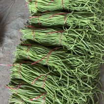精品长豆角