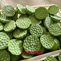 新鲜莲蓬已上市