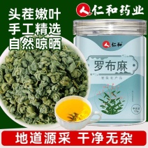 【仁和】精选新疆罗布麻120g头茬特级滋补中药材罐装
