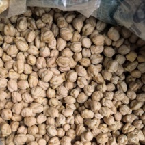 鹰嘴豆中颗粒大颗粒高质量色选品质！！