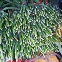 东北头茬高粱乌米