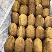 精品湖南产地绿心猕猴桃，新鲜采摘发货，支持分拣打包