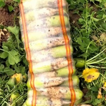 量大！品质好
