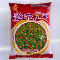 晟红花九号花种子花朵大无刺花丝长耐寒耐瘠产量高药材种子四