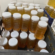 蜂蜜蜜桃132规格80黄桃530黄金蟠桃175号码